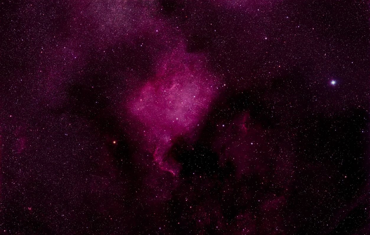 NGC7000 in backyard (Untracked)